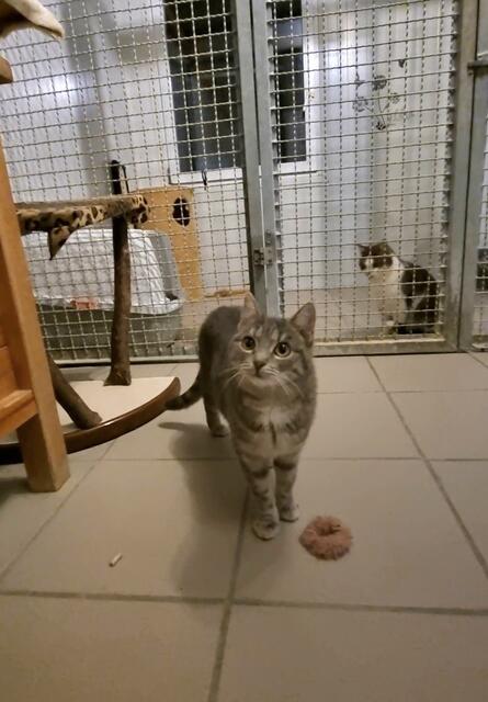 Kalea | Foto: Sabine Pollok