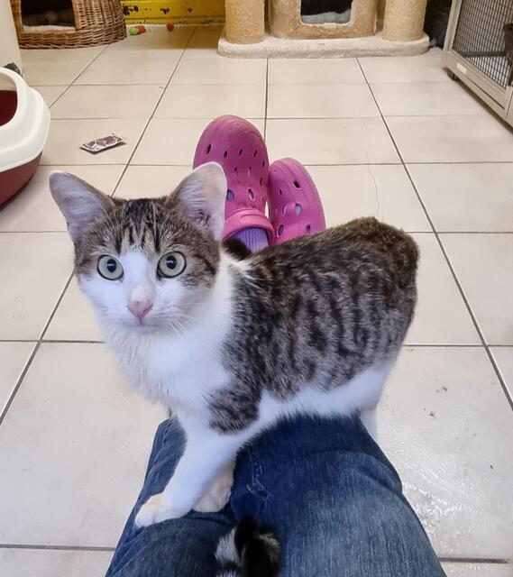 Martin | Foto: Sabine Pollok