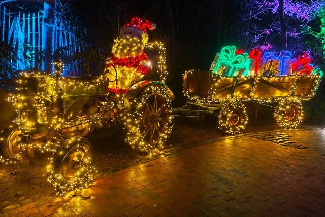 Was für ein weihnachtlicher Lichterglanz! | Foto: Shima Mahi