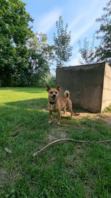 Benny | Foto: Sabine Pollok