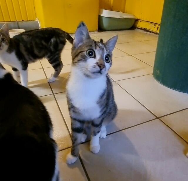 Anna | Foto: Sabine Pollok