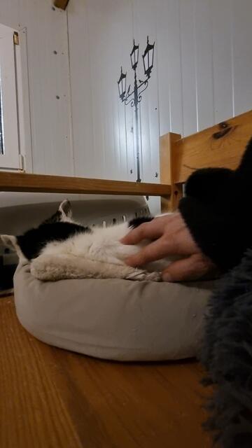 Sissi | Foto: Sabine Pollok