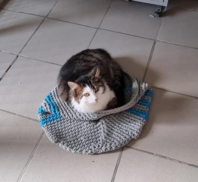 Kasimir | Foto: Sabine Pollok