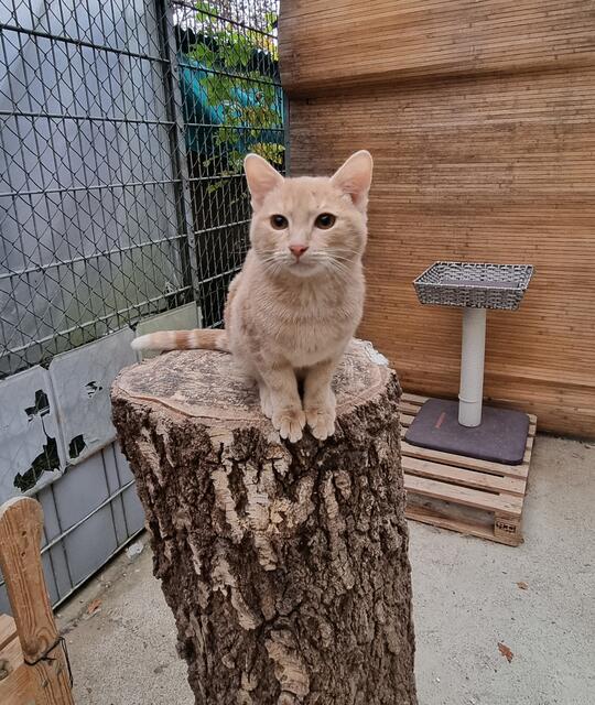 Oskar | Foto: Sabine Pollok