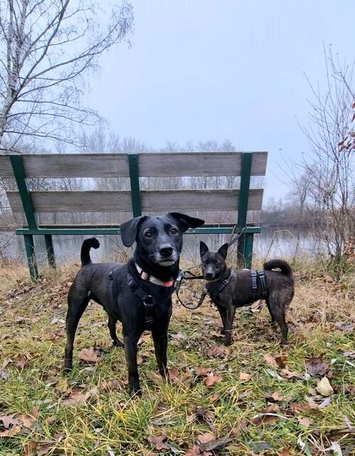 Blacky und Schneewittchen | Foto: Sabine Pollok