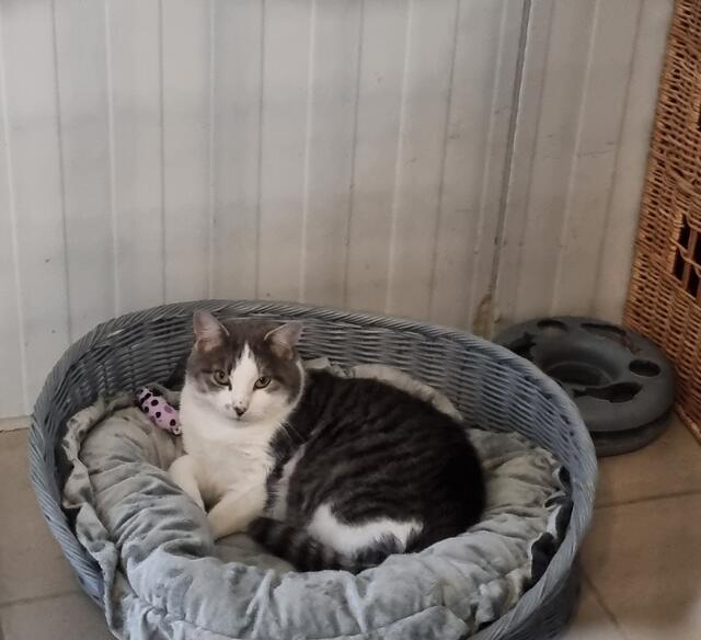 Alfred | Foto: Sabine Pollok