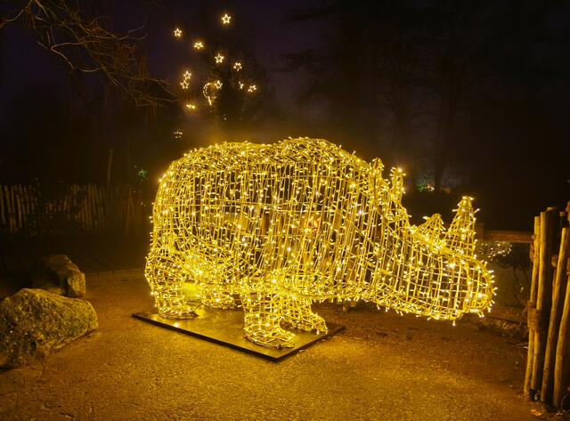 Eine Nashornfigur spendet viel Licht. | Foto: Shima Mahi