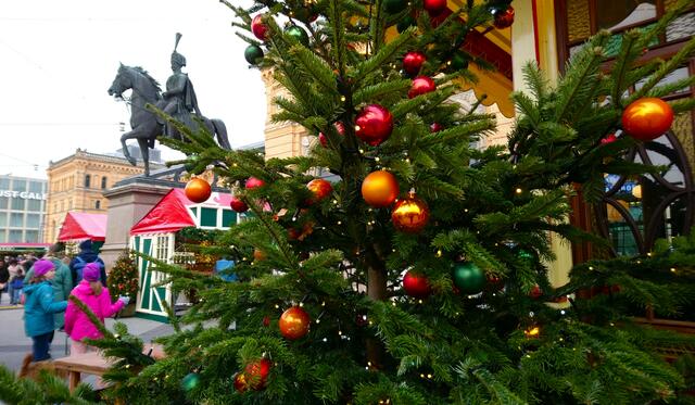 Ernst-August hat den Überblick. | Foto: Shima Mahi