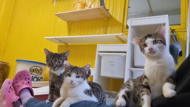 Markus, Martin und Manfred | Foto: Sabine Pollok