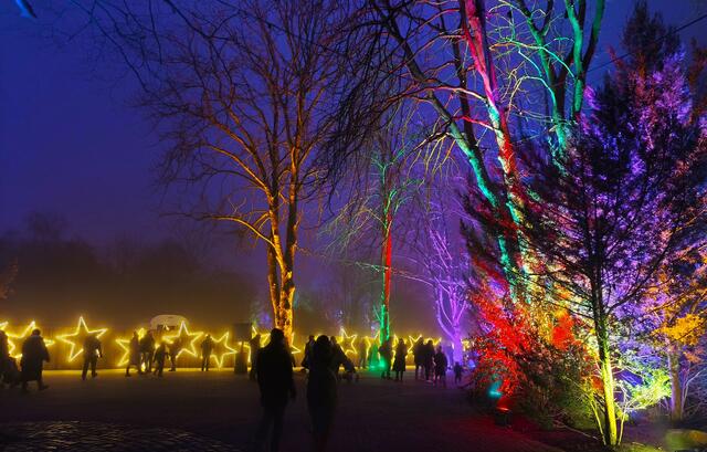 Der Sternenweg | Foto: Shima Mahi