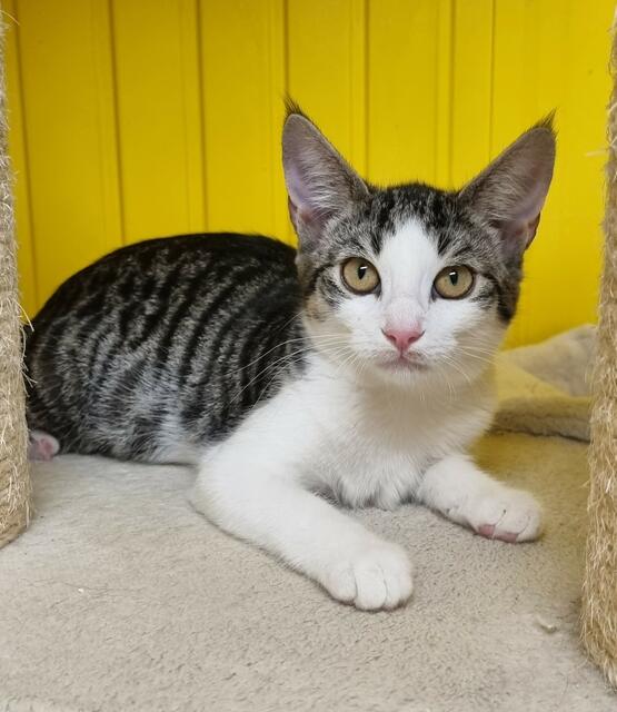 Fleur | Foto: Sabine Pollok