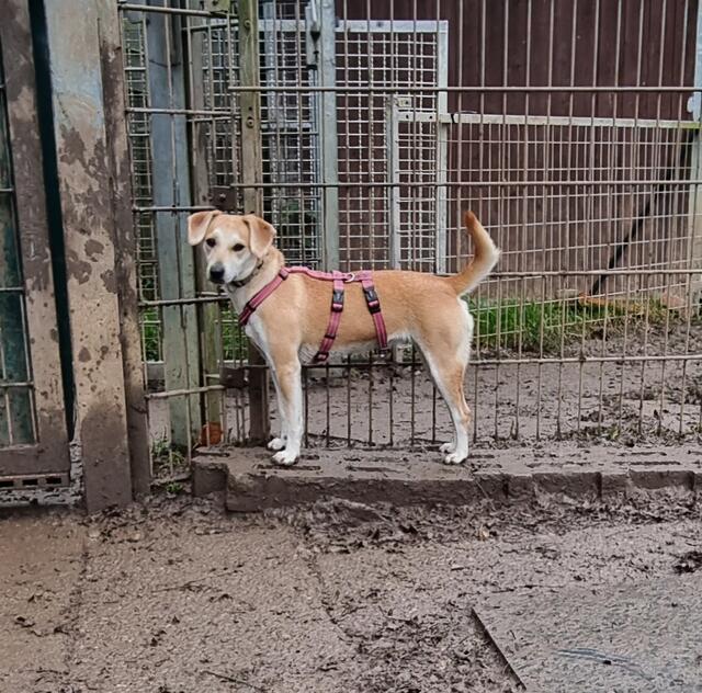 Loredana | Foto: Sabine Pollok