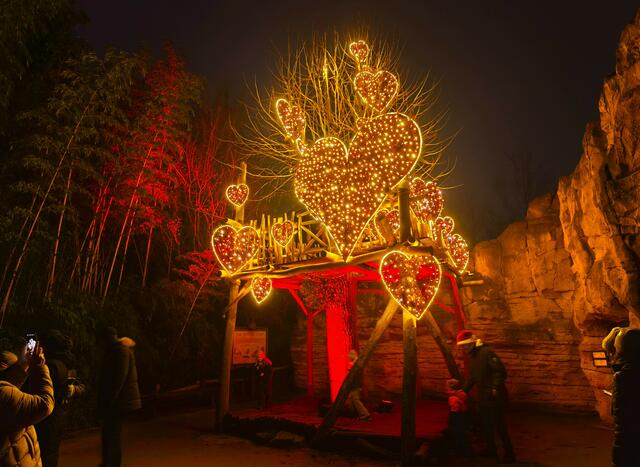 Herzbaum | Foto: Shima Mahi