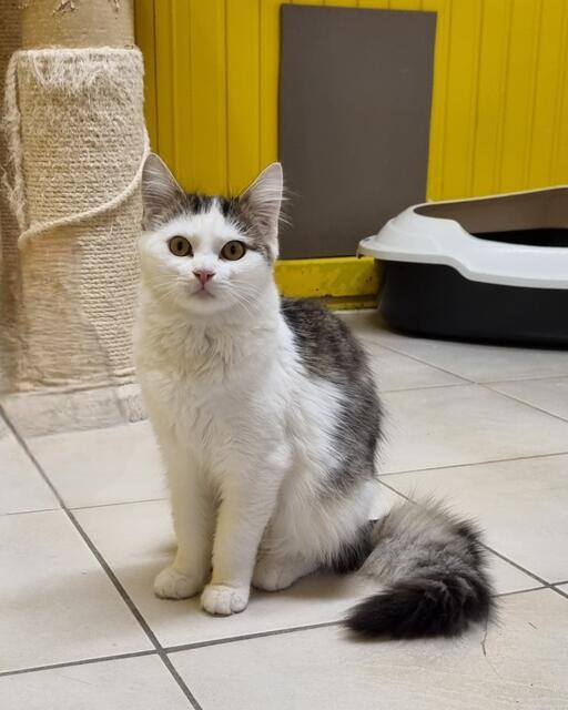 Fee | Foto: Sabine Pollok