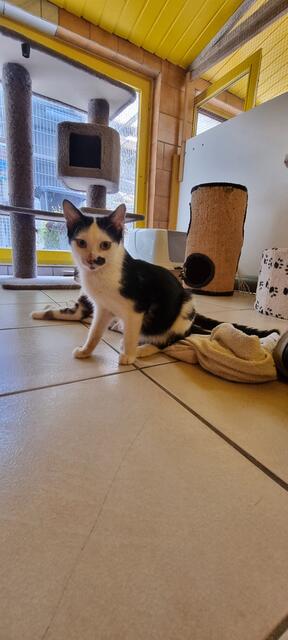 Alois | Foto: Sabine Pollok