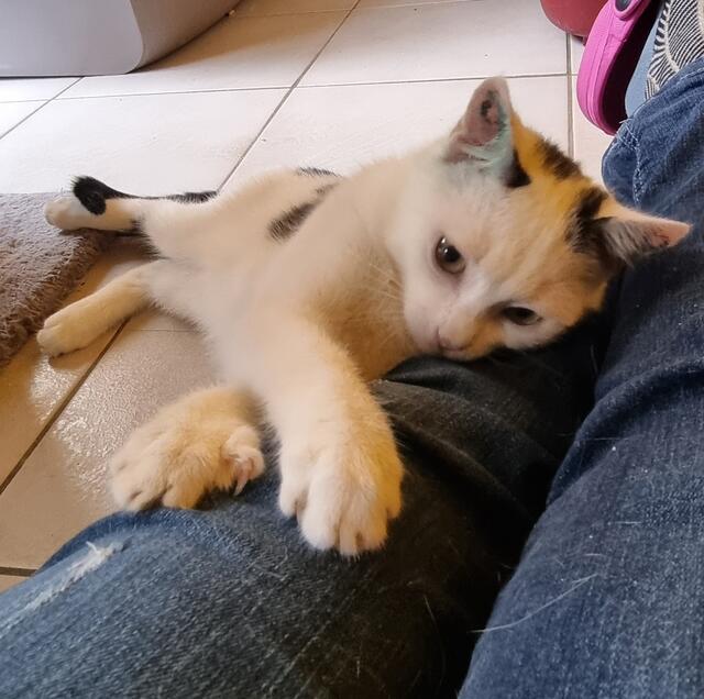 Snow | Foto: Sabine Pollok