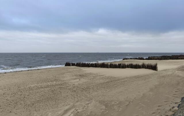 Am Strand | Foto: Shima Mahi