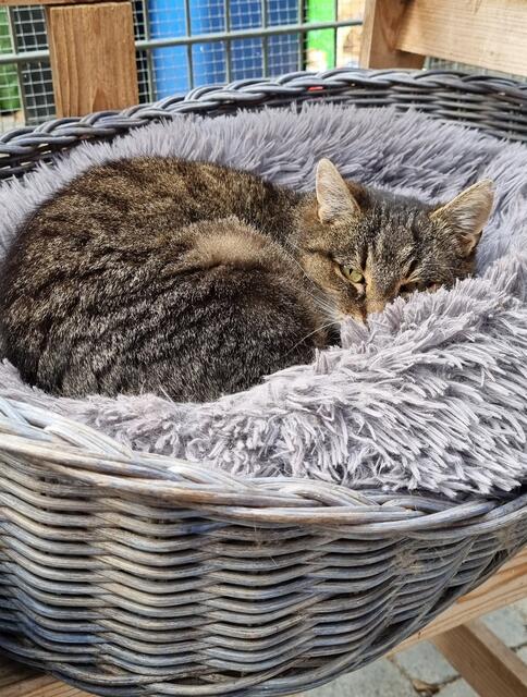 Granny | Foto: Sabine Pollok