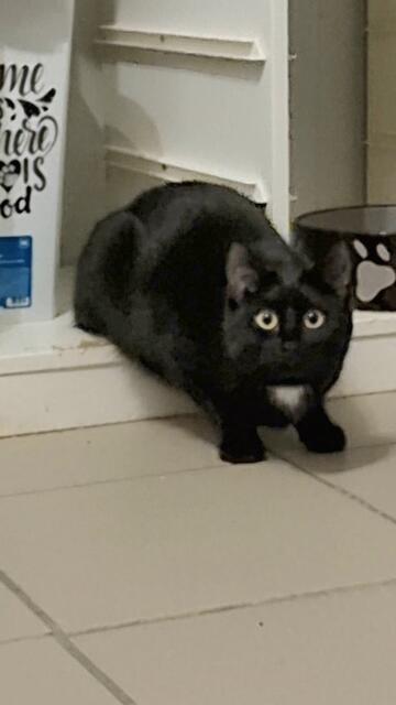 Thalia | Foto: Sabine Pollok