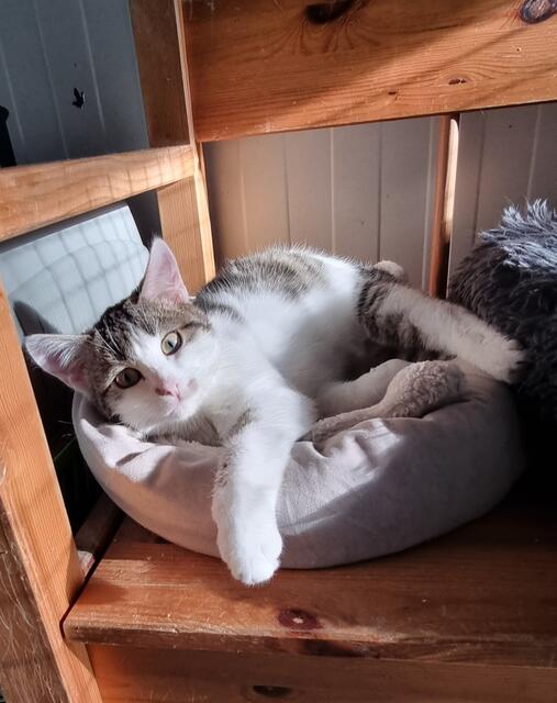 Lisa | Foto: Sabine Pollok