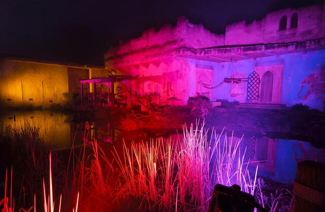 Schön bunt | Foto: Shima Mahi