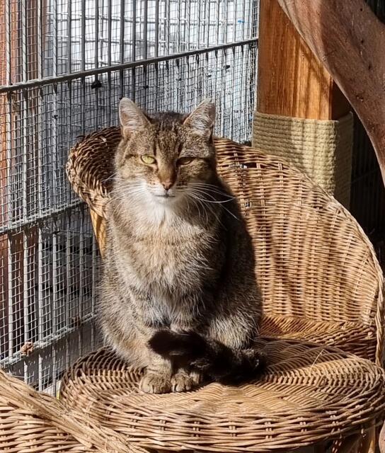 Granny | Foto: Sabine Pollok