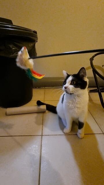 Yuna | Foto: Sabine Pollok