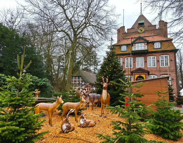 Hinter der Krippe | Foto: Shima Mahi