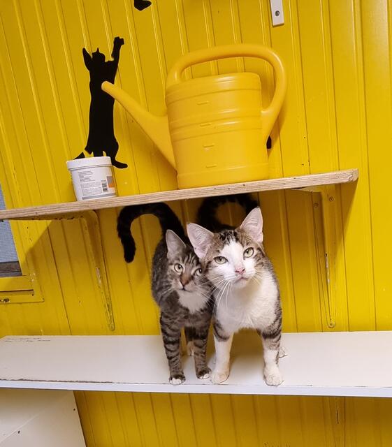 Markus und Manfred | Foto: Sabine Pollok