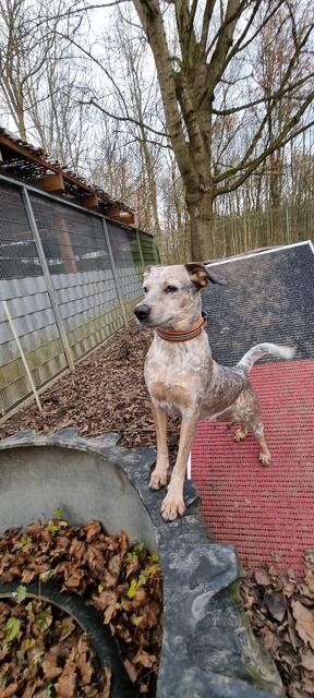 Emma | Foto: Sabine Pollok