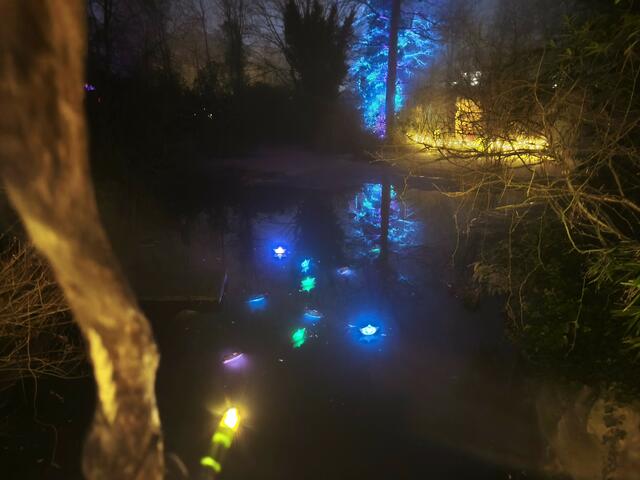 Leuchtende Miniboote | Foto: Shima Mahi