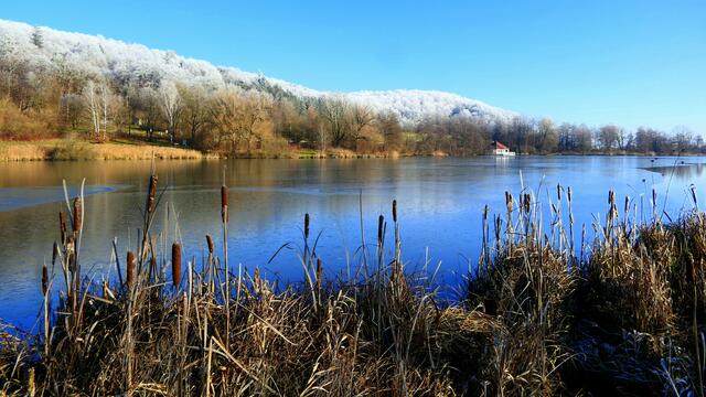 Wie im hohen Norden: der Rothsee in Zusmarshausen