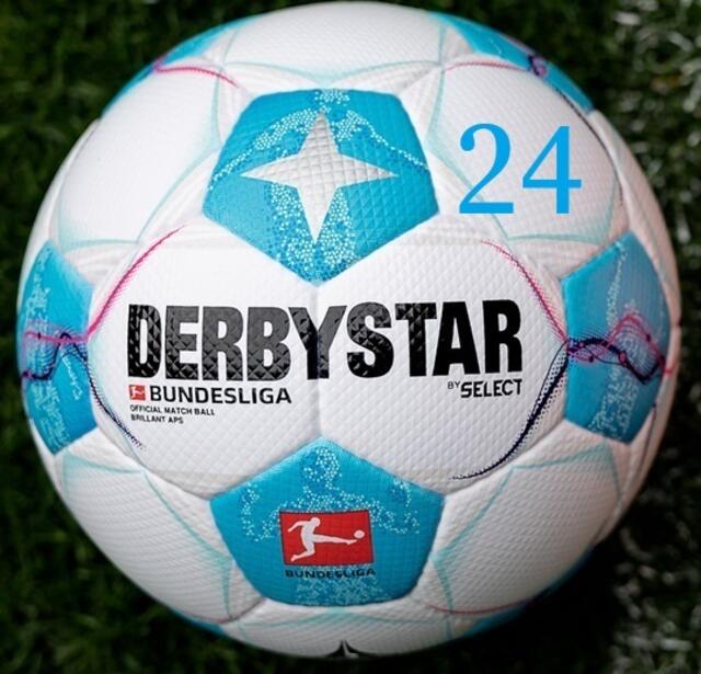 24. Spieltag der Bundesligasaison 2024/25.