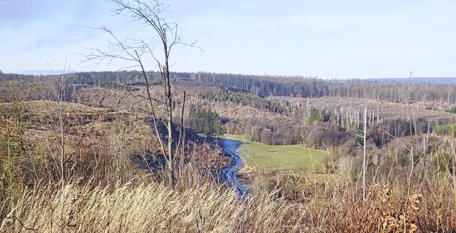 Blick in das Selketal zwischen Strassberg und Silberhütte