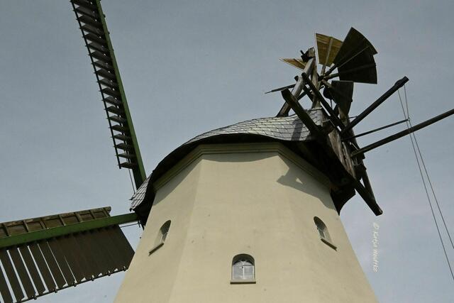 Mühlenmontag (Foto: Katja Woidtke)

Galerieholländermühle in Sprengel | Foto: Katja Woidtke