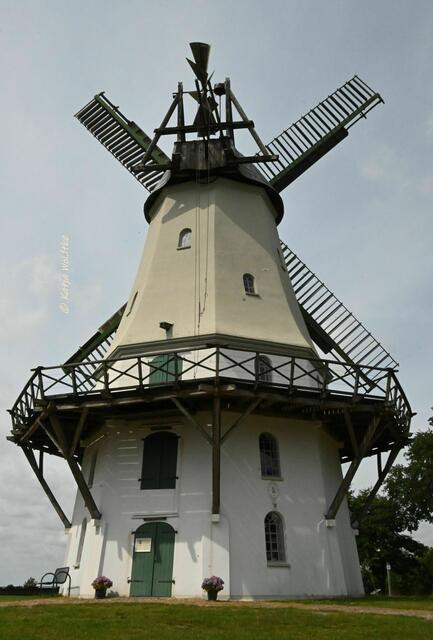 Mühlenmontag (Foto: Katja Woidtke)

Galerieholländermühle in Sprengel | Foto: Katja Woidtke