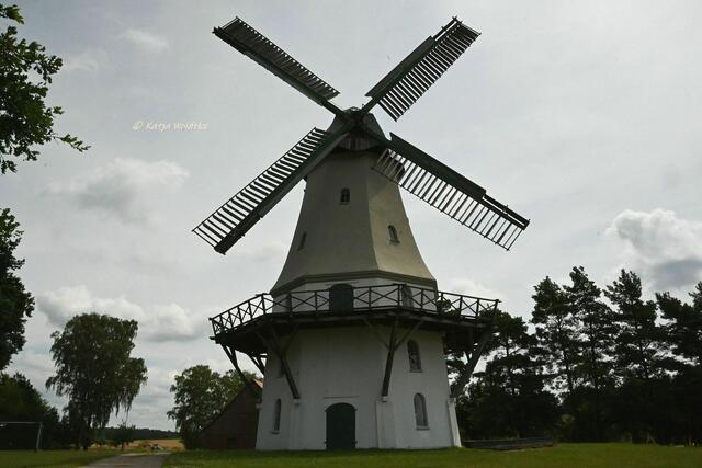 Mühlenmontag (Foto: Katja Woidtke)

Galerieholländermühle in Sprengel | Foto: Katja Woidtke