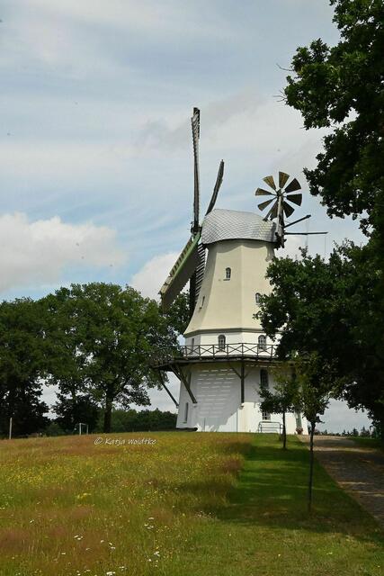 Mühlenmontag (Foto: Katja Woidtke)

Galerieholländermühle in Sprengel | Foto: Katja Woidtke