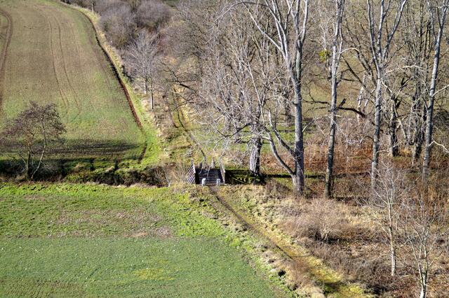 Blick von der Bicklingswarte auf den Bicklingsbach