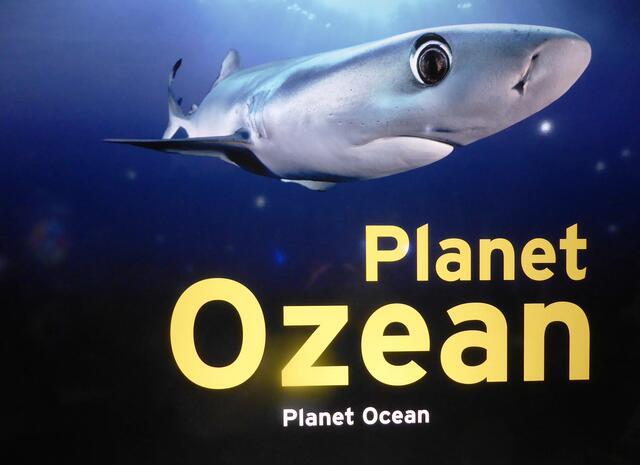 In der Ausstellung Planet Ozean werden die Exponate in deutscher und englischer Sprache beschrieben.