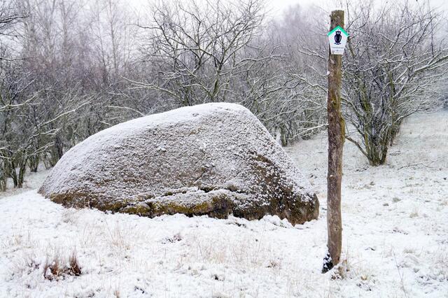 das Taubenei auf den Seweckenbergen