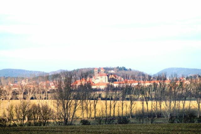 Blick von der Bicklingswarte auf Quedlinburg