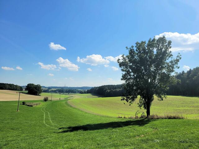 Blick ins Paartal vor Rettenberg | Foto: Dr. Hubert Raab