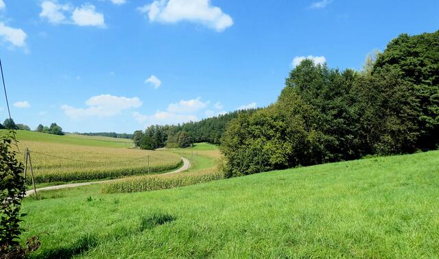Weg nach Heimatshausen | Foto: Dr. Hubert Raab