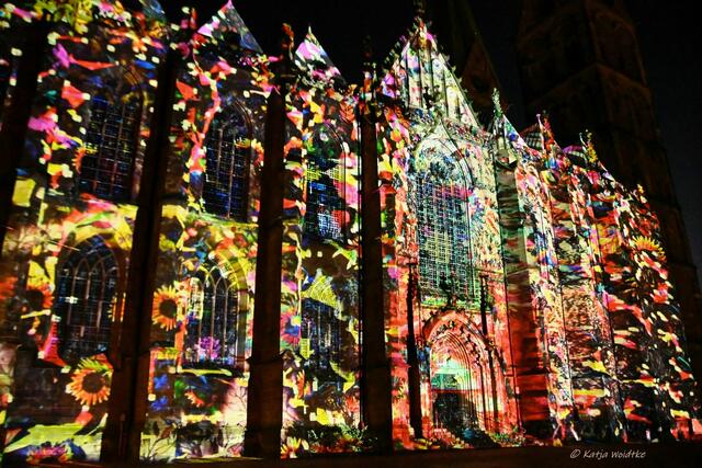 Lichter der City in Bremen (Foto: Katja Woidtke)

Illumination auf dem St. Petri Dom | Foto: Katja Woidtke