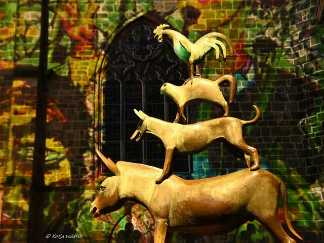 Lichter der City in Bremen (Foto: Katja Woidtke)

Bremer Stadtmusikanten mit Illumination auf der Unser Lieben Frauen Kirche | Foto: Katja Woidtke