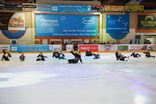 Eine Affenbande treibt ihren Unfug. | Foto: juliamayr-photo.com