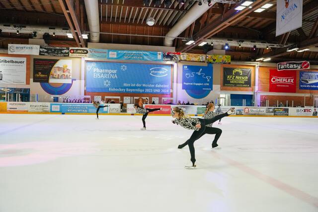Die Zebraherde ist unruhig, denn sie spürt, dass Raubtiere in der nähe sind. Dies stellt sich nur zu schnell als wahr heraus - 2 Löwen haben es auf die Zebras abgesehen. | Foto: juliamayr-photo.com