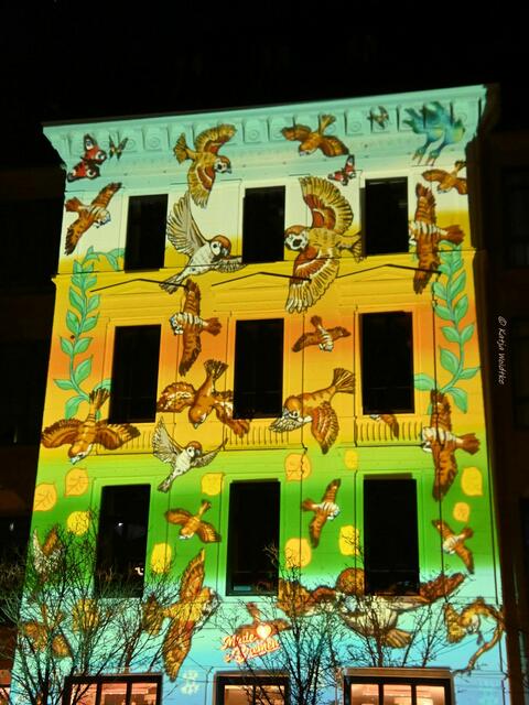 Lichter der City in Bremen (Foto: Katja Woidtke)

Am Gebäude "Made in Bremen" haben mehrere Bremer Kunstschaffende  wechselnde Motive für die Illumination entwickelt. Die Spatzen stammen von Jinsu Du (Künstlername Lao Du).  | Foto: Katja Woidtke