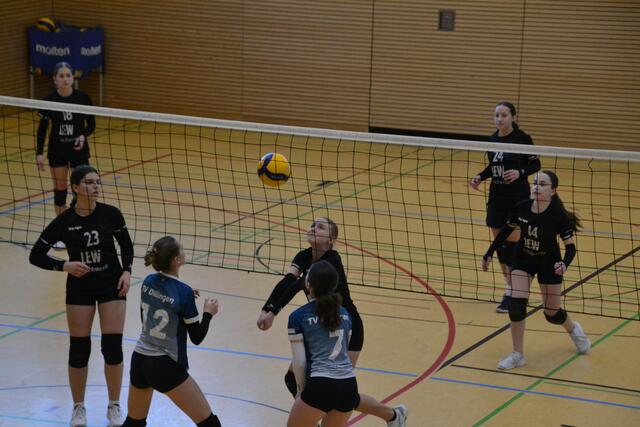 Die Spielerinnen der Volleyball Damenmannschaft IV des TSV Gersthofen waren deutlich jünger als die anderen Mannschaften und hatten somit eine Außenseiterrolle.